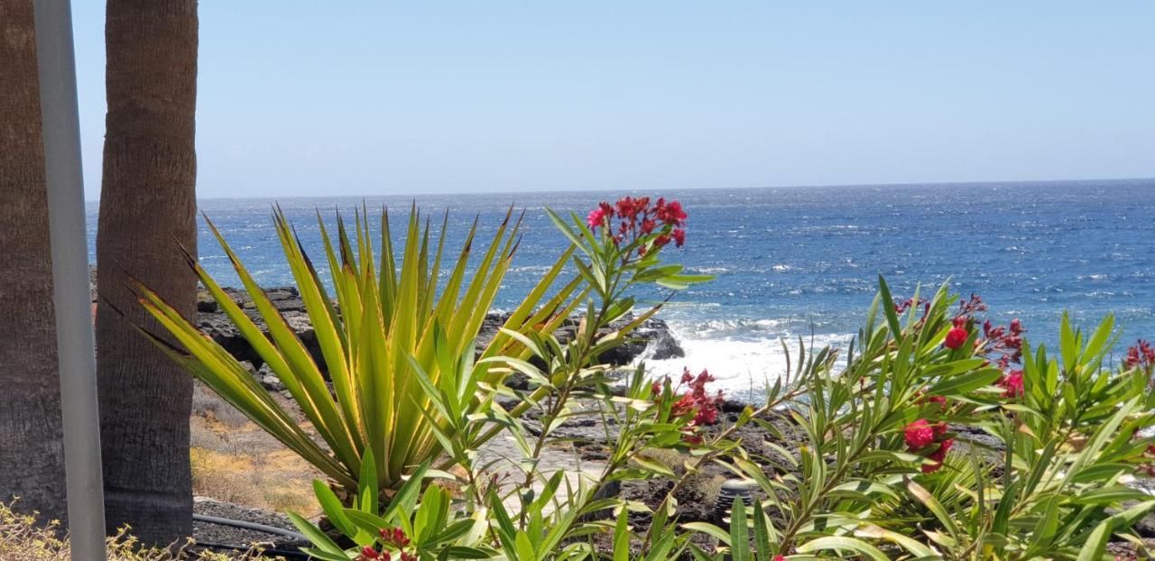 Cosy Well Located Apartment Tenerife Sur Golf San Miguel de Abona Zewnętrze zdjęcie