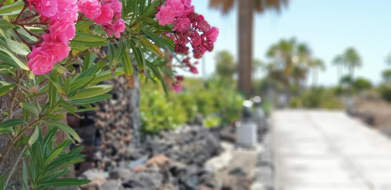 Cosy Well Located Apartment Tenerife Sur Golf San Miguel de Abona Zewnętrze zdjęcie
