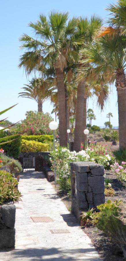 Cosy Well Located Apartment Tenerife Sur Golf San Miguel de Abona Zewnętrze zdjęcie