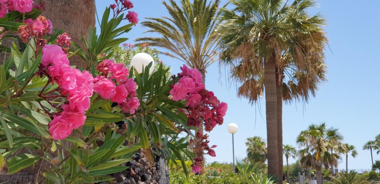 Cosy Well Located Apartment Tenerife Sur Golf San Miguel de Abona Zewnętrze zdjęcie