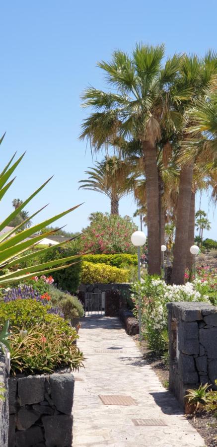 Cosy Well Located Apartment Tenerife Sur Golf San Miguel de Abona Zewnętrze zdjęcie